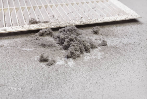 Best HVAC Duct Inspection Services  in Benjamin, UT