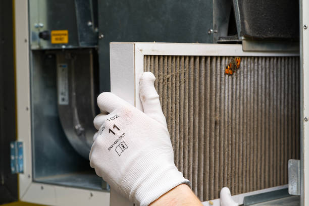 Best Professional Duct Cleaning Services  in Benjamin, UT