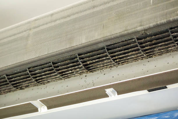 Best HVAC System Cleaning  in Benjamin, UT